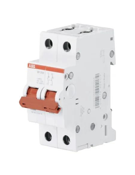 DEWIN 2P 63A Interruttore Automatico Di Protezione Da Piccole Perdite Per Uso Domestico Montaggio Su Guida Din Da 35 Mm 83150623